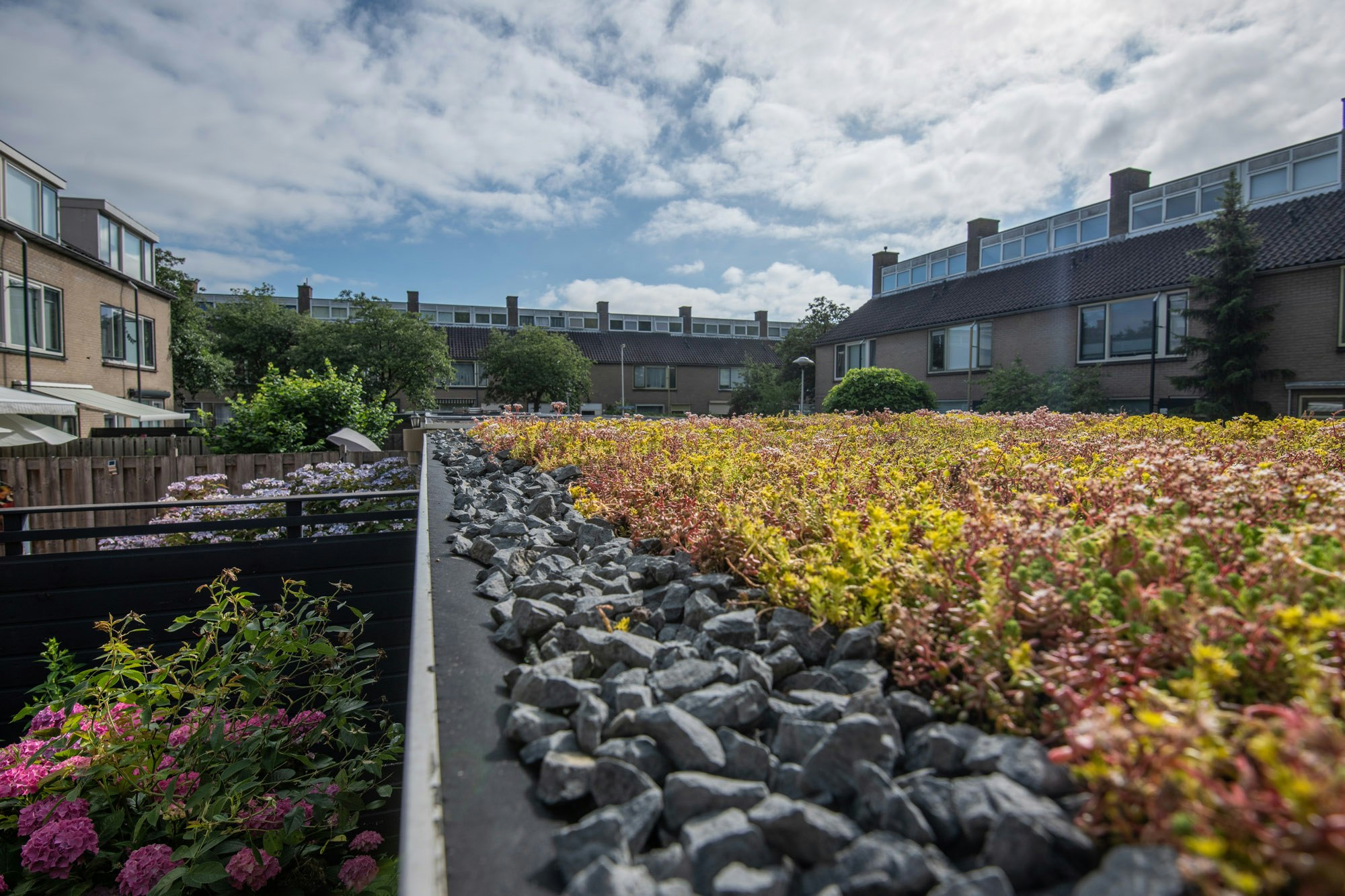 De tuin van de toekomst zorgt voor droge voeten in Utrecht