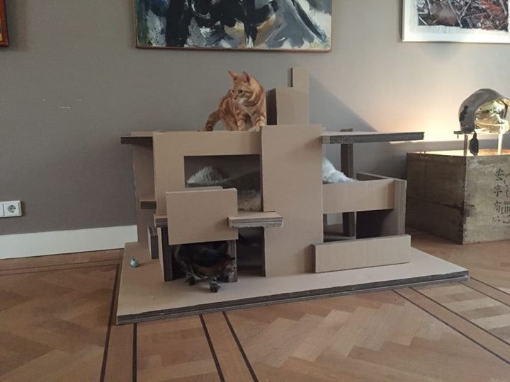 Architecten maken een echt Rietveld Schröderhuisje voor katten