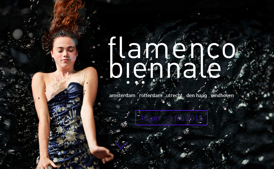 Flamenco Biennale