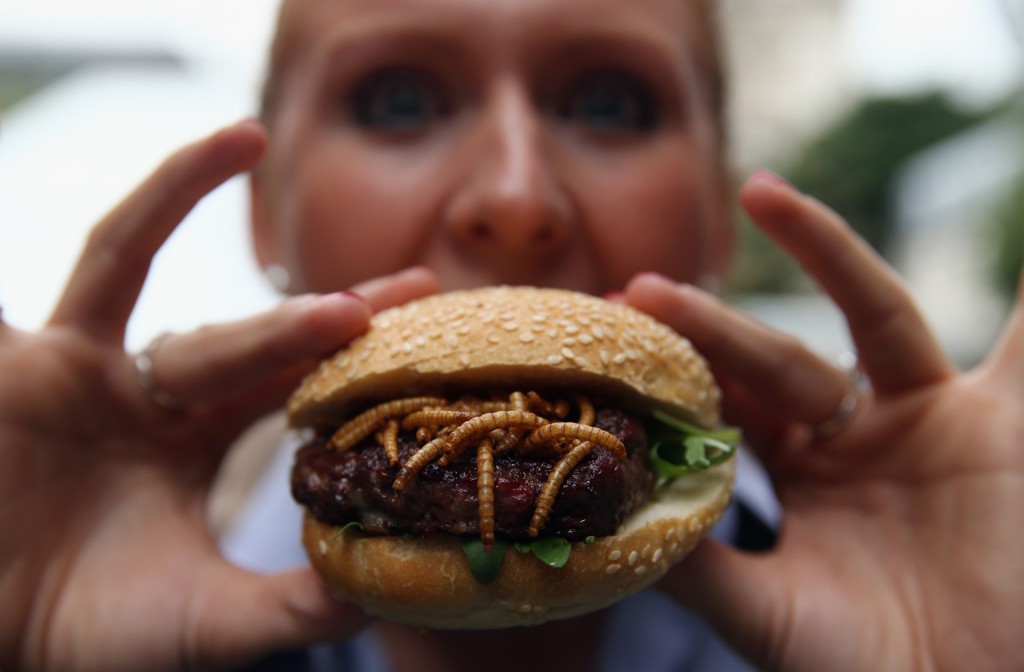 Wormen eten bij insectenrestaurant in Hoog Catharijne De Utrechtse Courant Wormen eten bij insectenrestaurant in Hoog Catharijne De Utrechtse Courant