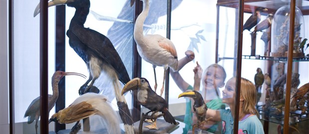 Foto: Universiteitsmuseum