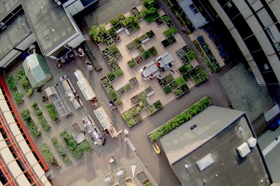 Daktuin Hoog Catharijne wordt straks grootste voedselproducerende dak van Nederland