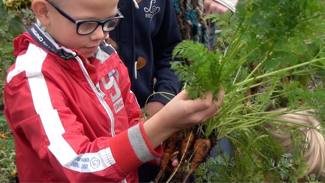 DUIC TV: Utrecht Natuurlijk leert leerlingen van basisschool De Fakkel een groentesoep uit eigen tuin maken