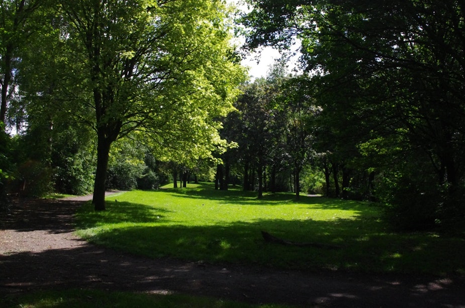 Actie tegen kap 150 bomen Cremerstraat: “Er blijft niets over van het park”