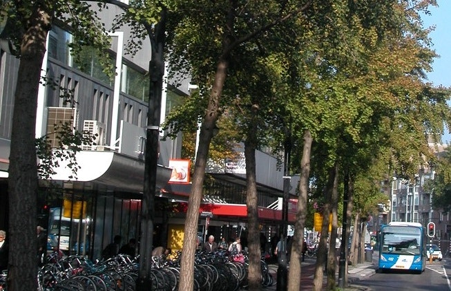 Wellicht toch behoud Japanse notenbomen Jacobsstraat