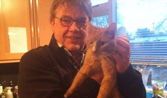 Breaking in 2015: De kat van Henk Westbroek loopt weg en komt weer terug