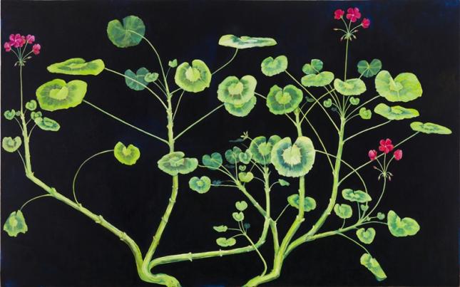 Jorn van Leeuwen Geranium meteoor 8, beenderlijm, olieverf en damarhars op doek, 117 x 188 cm, 2013 foto: Tom Haartsen