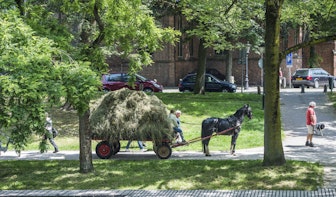 Utrecht gaat met paard en wagen 60 jaar terug in de tijd