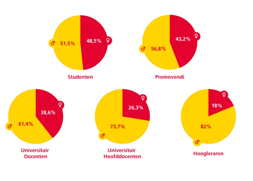 Man vrouw verhouding universiteit