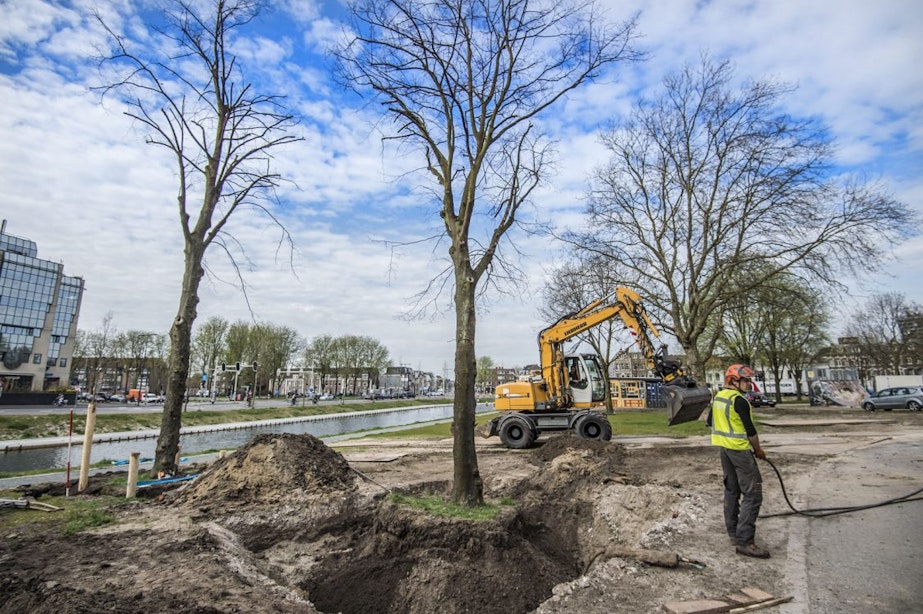 Gemeente gaat in aanloop naar 900-jarig bestaan Utrecht 900 bomen uitdelen