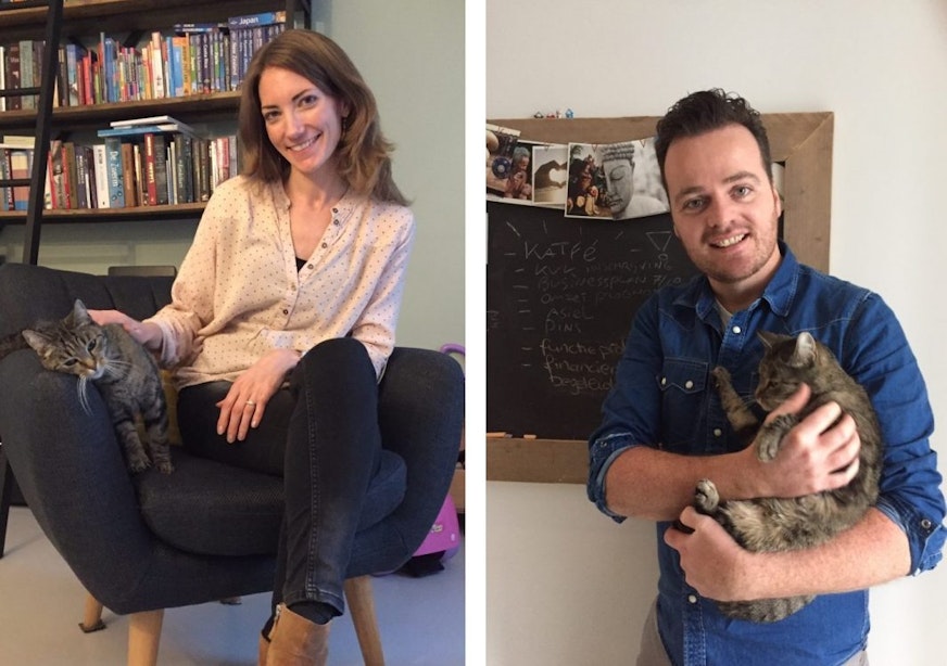 Crowdfunding eerste Utrechtse kattencafé geslaagd