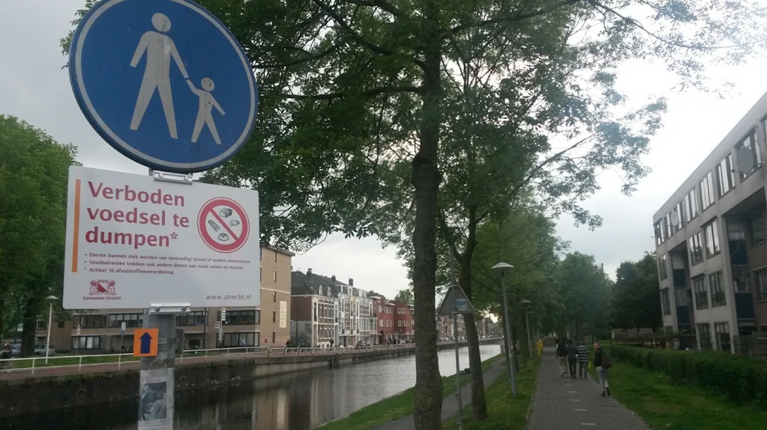 Gemeente Utrecht plaatst borden tegen dump van eendenbrood