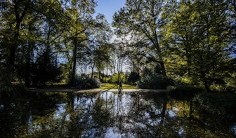 Paviljoen in Julianapark wordt open ‘huiskamer’ met ruimte voor workshops