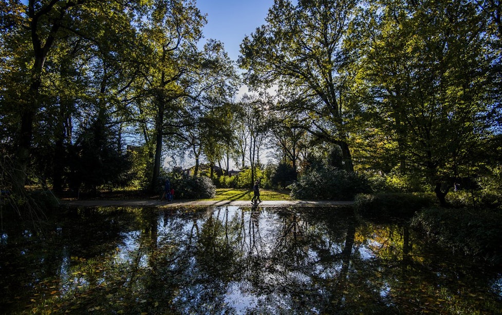 Gemeente Utrecht maakt vijvers in Julianapark schoon om waterkwaliteit op peil te houden