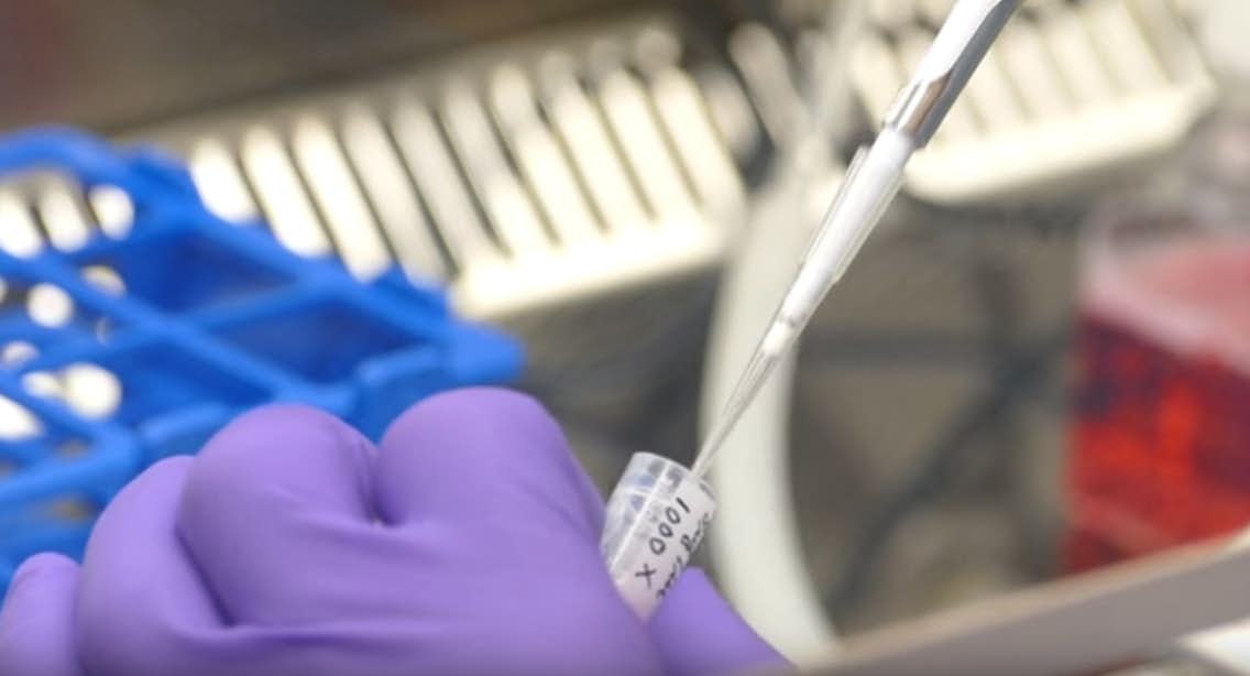 Utrechtse onderzoekers zorgen voor grote doorbraak in onderzoek naar embryo’s