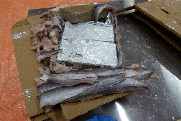 1125 kilo cocaïne tussen bevroren vis