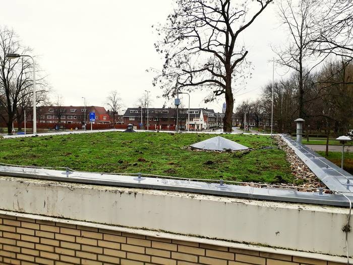 Nieuw groen dak van rioolgemaal Fuchslaan kan 4000 liter water opnemen