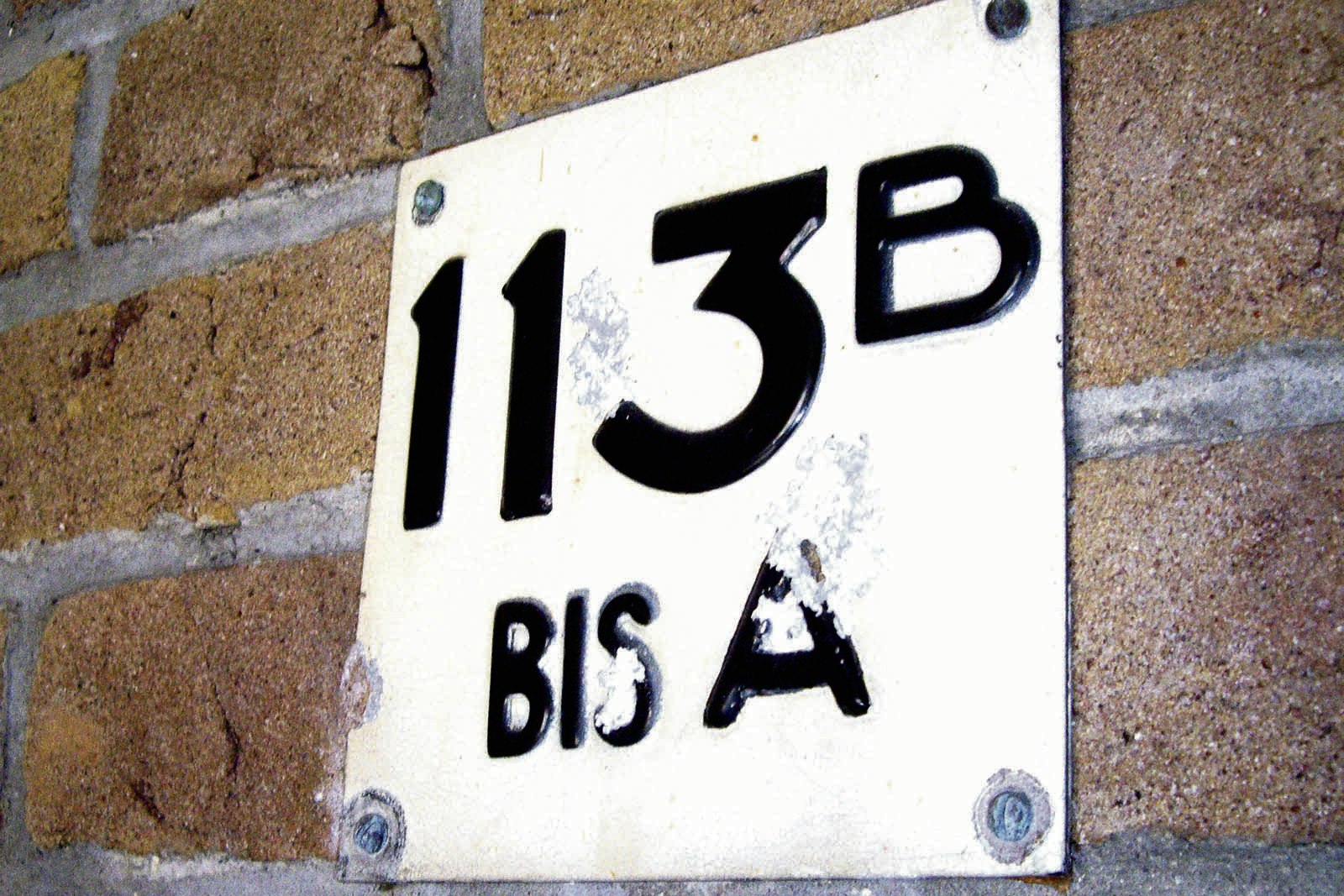 reptielen In detail Armstrong Hoe komt dit huis in Utrecht aan het nummer 113 B BIS A? | De Utrechtse  Internet Courant