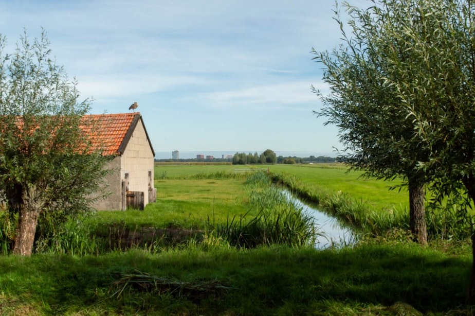 Onderzoek naar bereikbaarheid polder Rijnenburg in Utrecht levert twee voorkeursopties voor ov op