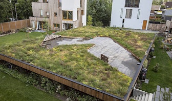 Ook voor kleinere daken subsidie om daken te vergroenen in Utrecht