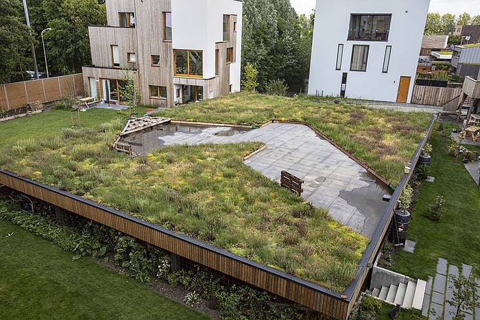 Ook voor kleinere daken subsidie om daken te vergroenen in Utrecht