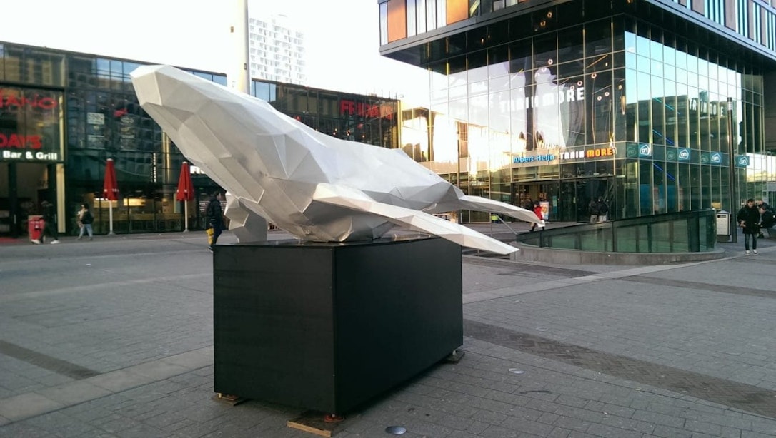 Utrecht heeft weer een walvis: kleine variant vraagt ook aandacht voor plastic in oceaan