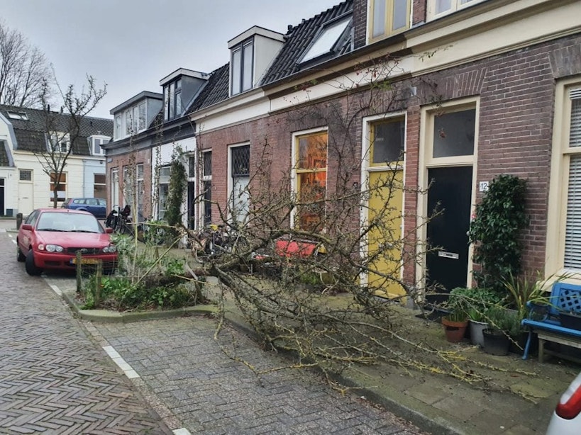 Storm Ciara zorgt voor omgewaaide bomen en schade aan huizen in Utrecht
