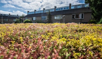 Provincie Utrecht lanceert duurzame dakenkaart; bekijk hier welke daken geschikt zijn voor zonnepanelen of plantjes