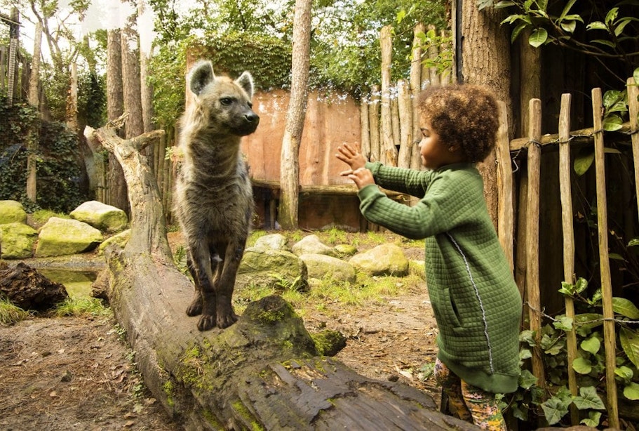 DierenPark Amersfoort ook in de herfst dé leukste dierentuin voor kinderen