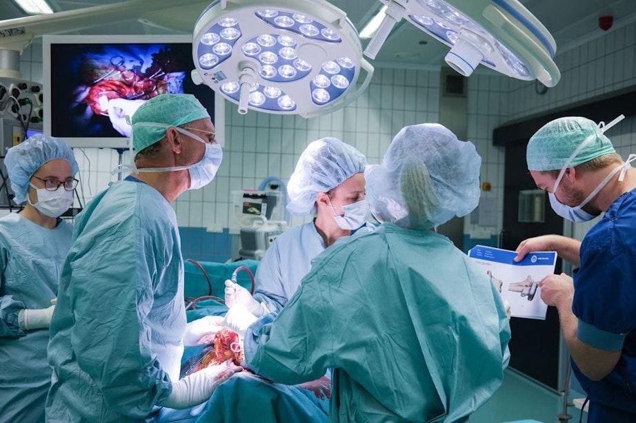 Bijzondere operatie in Utrecht: hond krijgt 3D-geprinte titanium elleboog