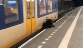 ProRail reageert geschrokken op filmpje van aanrijding op station Utrecht Centraal
