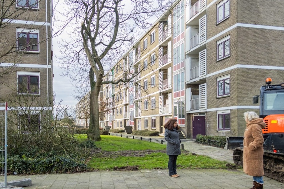 Buurtbewoners stoppen illegale bomenkap in Utrechtse wijk Hoograven