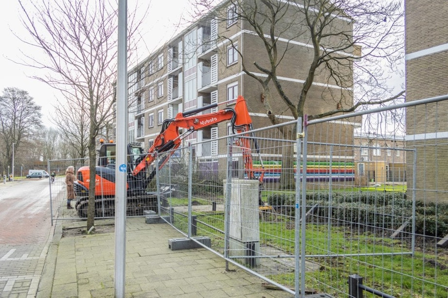 Illegale bomenkap in Utrecht wordt nauwelijks bestraft