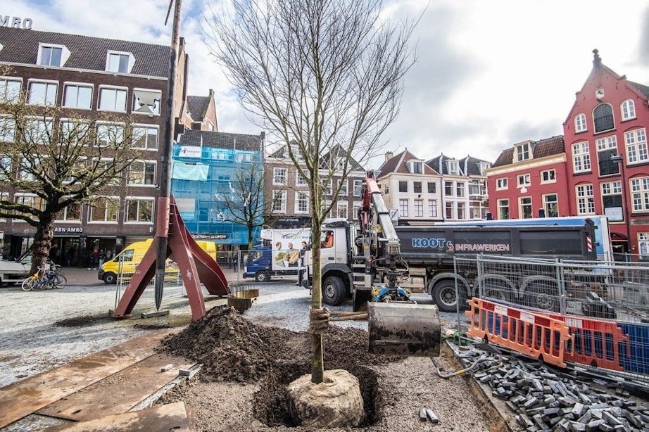 Bomenbeleid gemeente Utrecht is toe aan vernieuwing