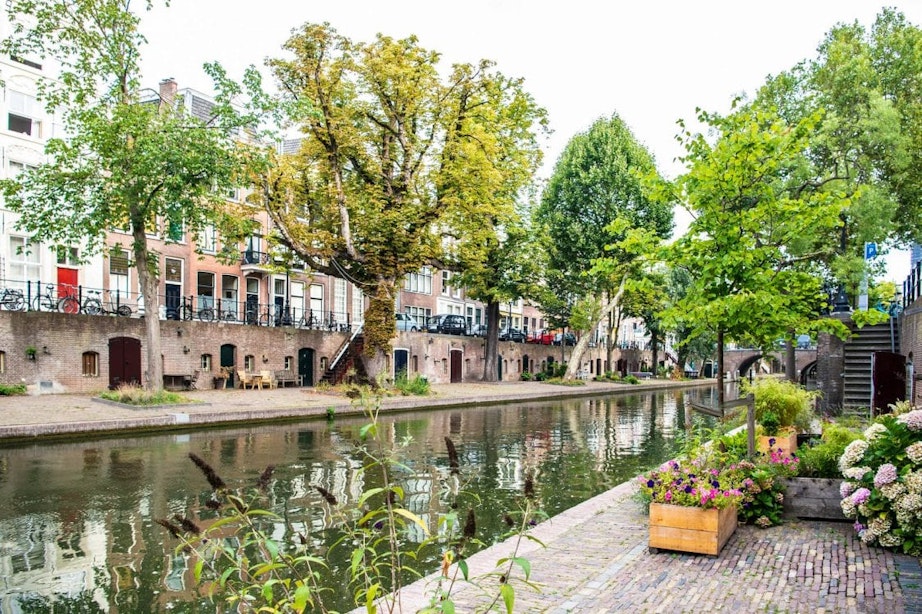 Gemeente Utrecht gaat waterspuwers en bestrating in het wervengebied aanpakken