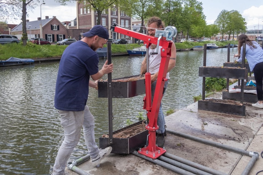 Startup hangt 20 plantenbakken in Vaartsche Rijn om biodiversiteit te verbeteren