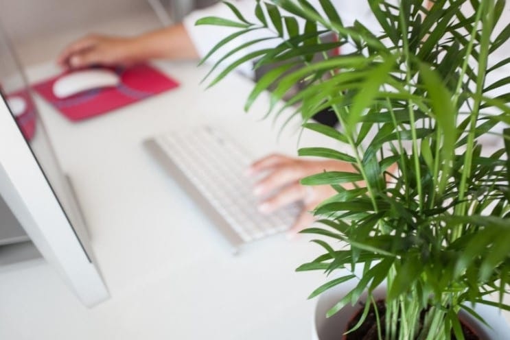 6 manieren om te verduurzamen en vergroenen op de kantoorvloer