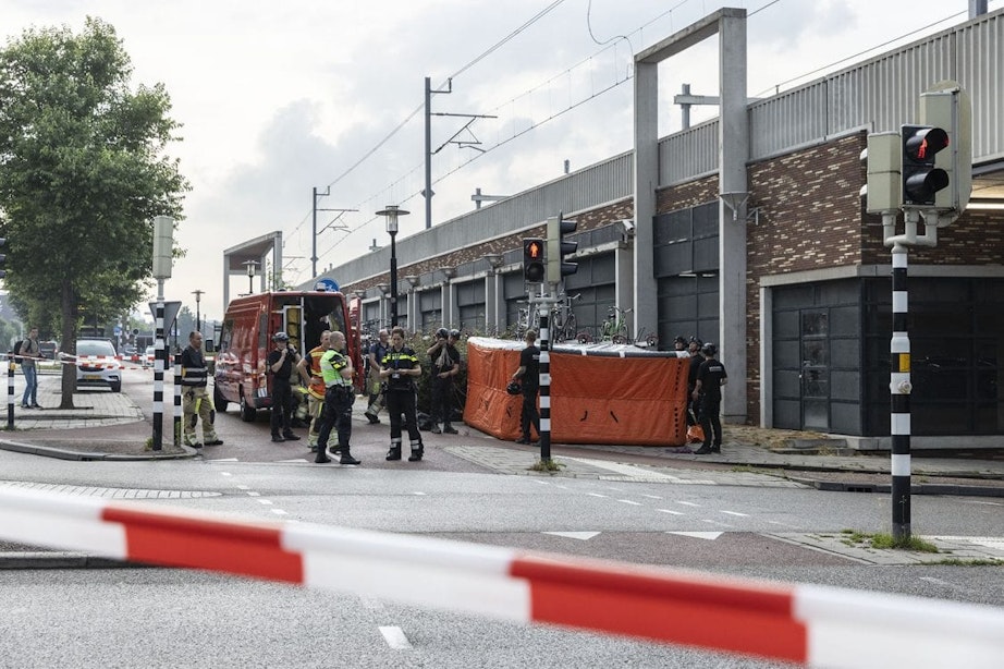 Verward persoon bij station Vaartsche Rijn in Utrecht legt treinverkeer plat