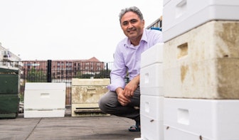Ahmet heeft succes met ruim 200.000 bijen in Kanaleneiland