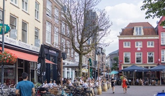 Gemeente Utrecht kapt met spoed kastanjeboom op de Neude