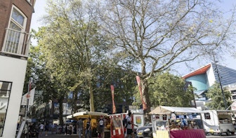 Gemeente Utrecht: zuurstofgebrek deels reden voor afsterven bomen op het Vredenburg