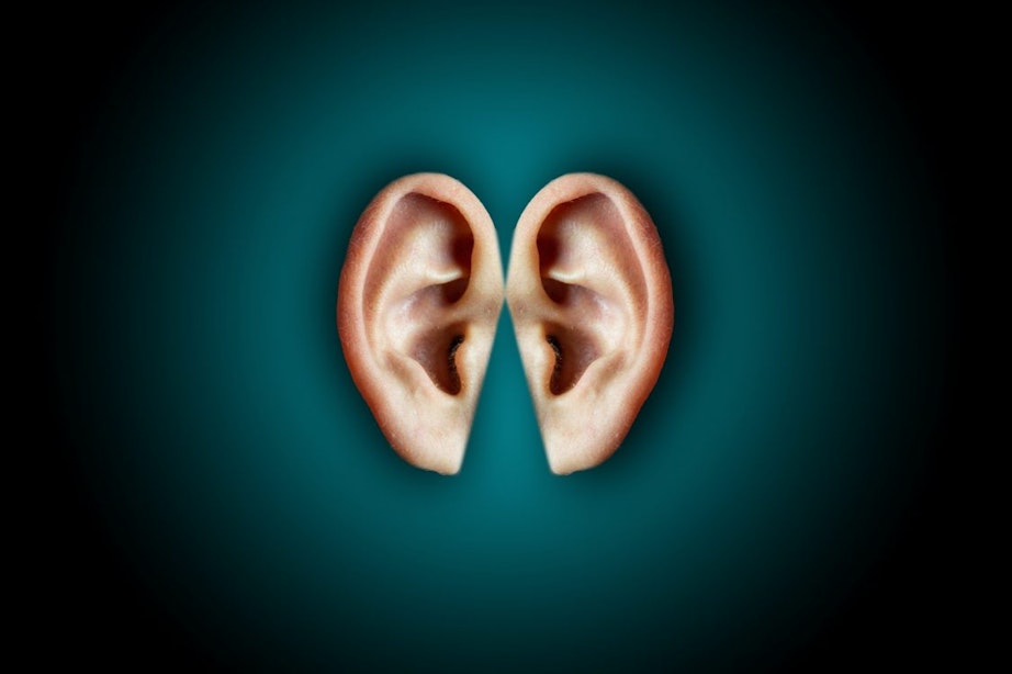 Wat voor soorten gehoorverlies zijn er?