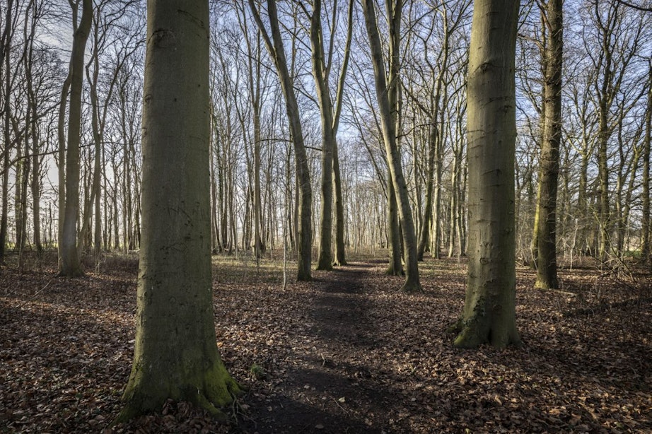 Gemeente Utrecht zet stapje terug bij plannen voor Natuurgebied Zuilen