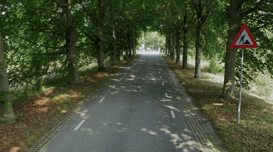 Werkzaamheden Mereveldseweg in Utrecht liggen stil door onverwachte boomwortels