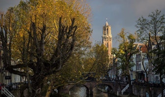 Hoeveel bomen staan er in jouw wijk in Utrecht en nam dat aantal toe of af? Bekijk het hier