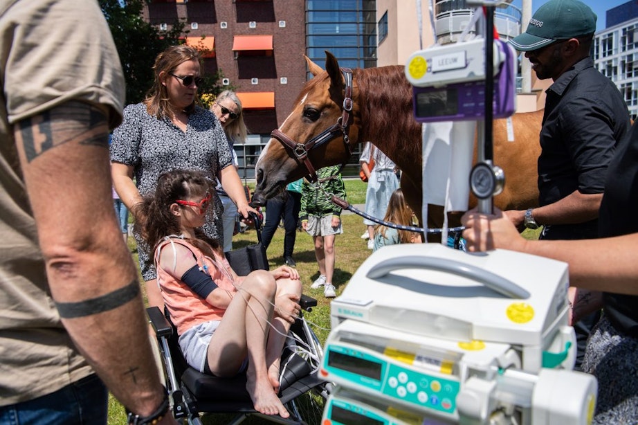 Frans paard ‘dokter Peyo’ bezoekt patiënten kinderziekenhuis in Utrecht