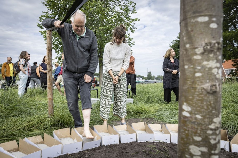 Eerste voetafdrukken gezet bij herinneringsboom in Utrechtse wijk Kanaleneiland
