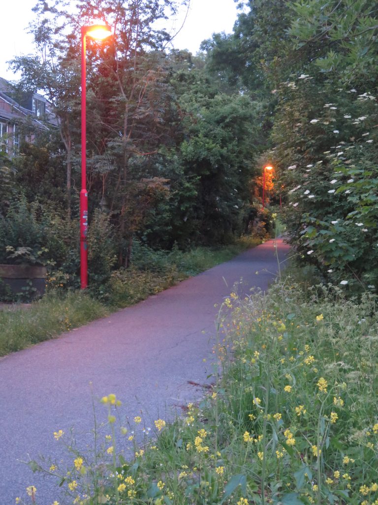 Oproepen Scheur wol Rode lantaarns verdwijnen uit straatbeeld in Utrecht