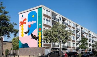 Muurschildering in Kanaleneiland in Utrecht geïnspireerd door vleermuizen 