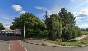 Kapvergunning 26 bomen verleend omdat gemeente Utrecht vergat te reageren, maar kap nog niet definitief